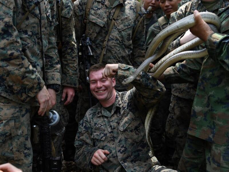 A Thai soldier places snakes to a US Marine during a jungle survival training in the joint 'Cobra Gold' military exercise in Chantaburi province 
Lillian SUWANRUMPHA / AFP