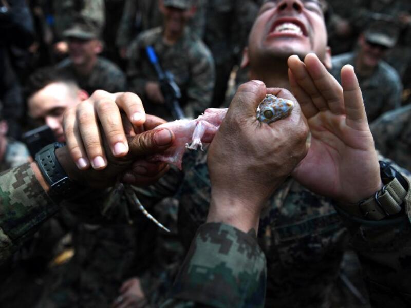 A US Marine eats a gecko during a jungle survival training with Thai soldiers in the joint 'Cobra Gold' military exercise in Chantaburi province 
Lillian SUWANRUMPHA / AFP