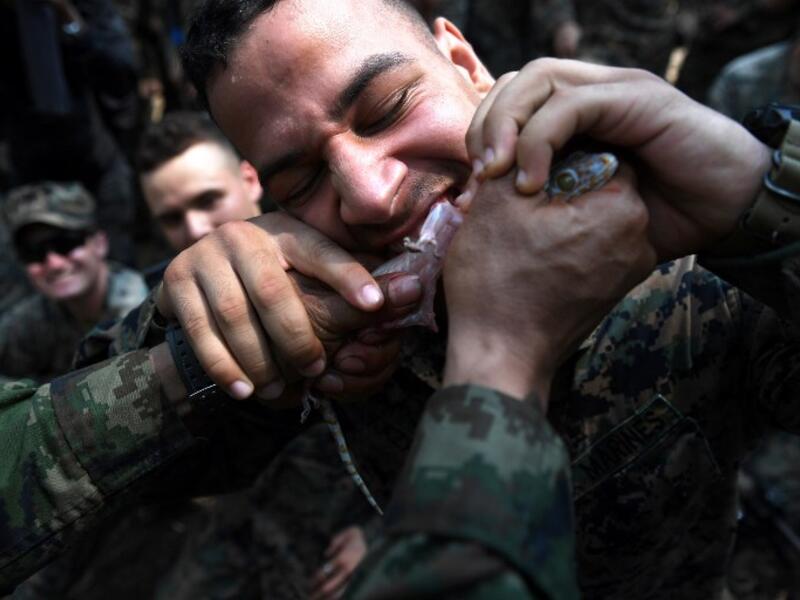 A US Marine eats a gecko during a jungle survival training with Thai soldiers in the joint 'Cobra Gold' military exercise in Chantaburi province
Lillian SUWANRUMPHA / AFP