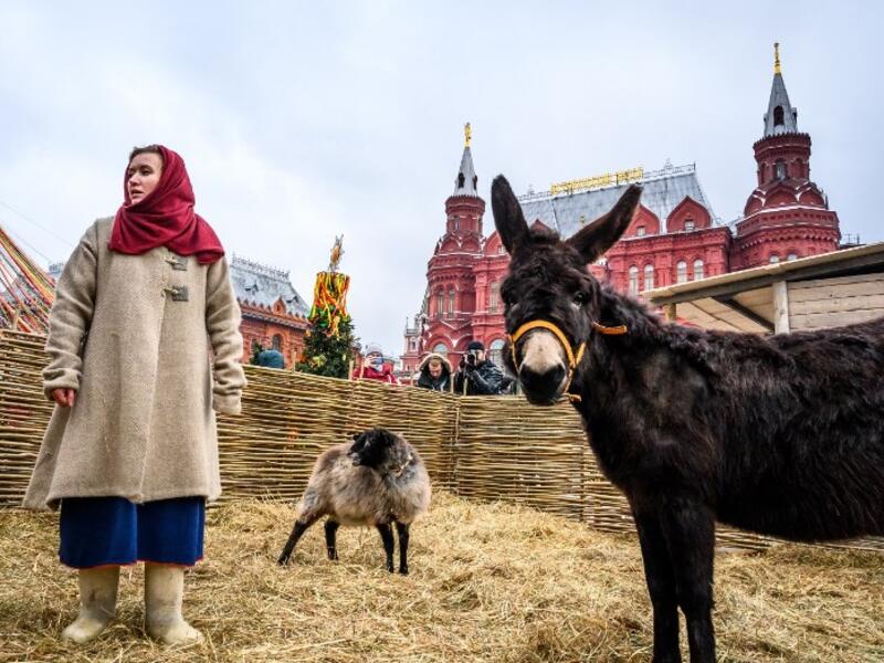 A woman dressed in a traditional costume cares for farm animals in an enclosure set up for the Shrovetide spring festival outside the Kremlin in Moscow on March 01, 2019. Mladen ANTONOV / AFP