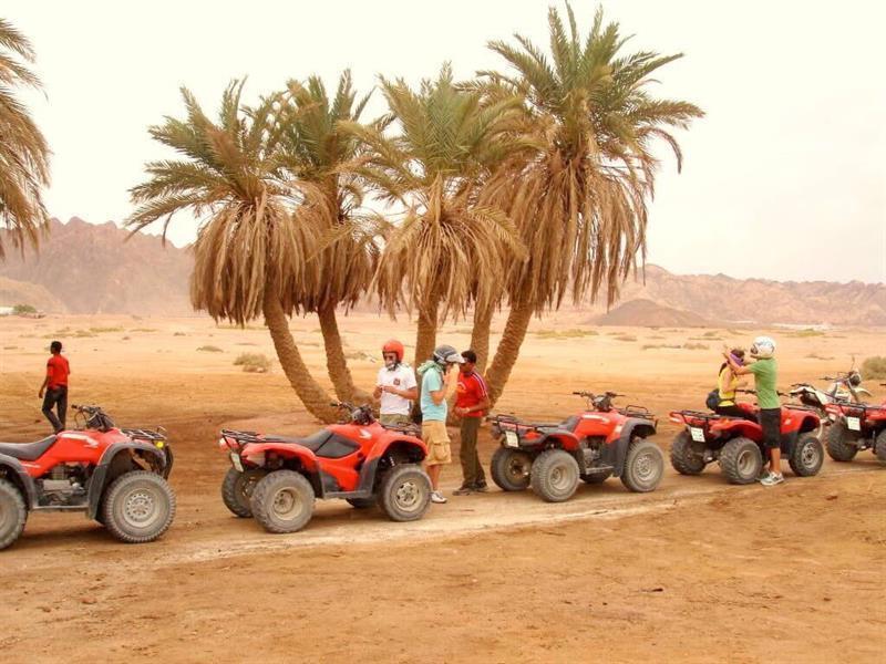 يحتوي على منطقة سفاري كبرى، تُغني المواطنين عن السفر إلى إفريقيا، إضافة إلى أكثر أنواع التخييم رفاهية، ومنها ما هو داخل الكهوف.