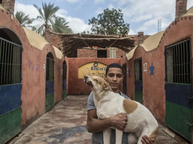 A volunteer carries a rescued dog that was run over by a driver, at the HOPE shelter for stray dogs in the village of Abusir
Khaled DESOUKI / AFP