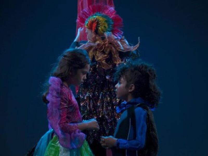 Short story “The Little Black Fish”  (Twitter)