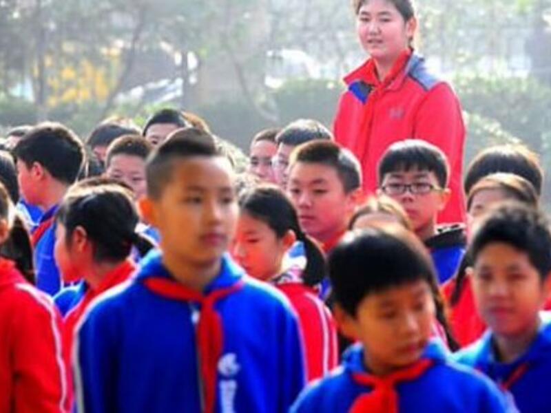 Zhang Ziyu (Twitter)