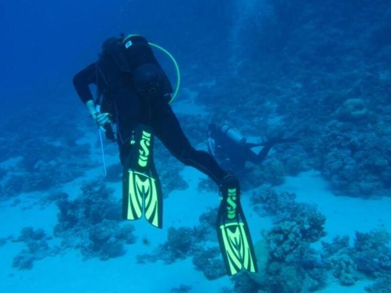 Into the deep...