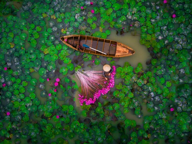 الجائزة الثانية عن فئة الناس صورة بعنوان "Waterlily" "زنبق الماء" التقطت من قبل هيليوس 