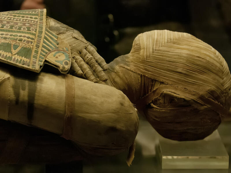 The funerary site was found in a desert area in Minya province, south of Cairo. (Shutterstock)