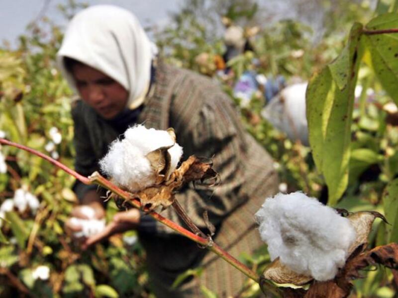 Only non-married women, widows, and divorcees are allowed to live in the village (AFP/File)