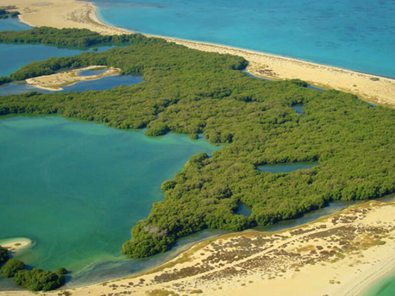 Bu Tinah Island, Abu Dhabi: The Middle East even has its fair share of tropical islands! This tiny archipelago serves as a protected nature reserve and has extensive coral and seagrass beds.