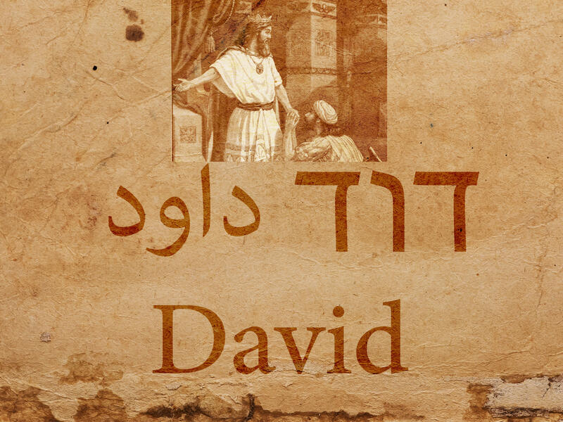 David