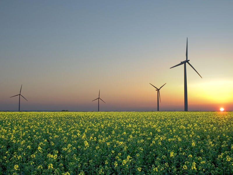 Oil is - and will be for some time - the lifeblood that keeps the industrial world going. But initiatives by Europe, the US, and other regions to promote alternative energy could very well threaten Saudi’s energy stranglehold. 