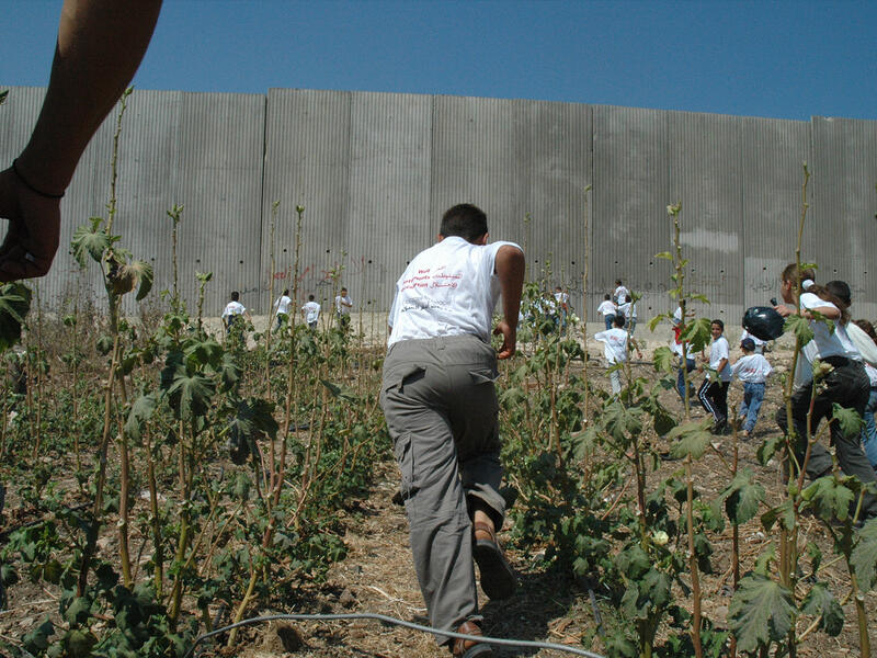 Palestinian farm near barrier wall