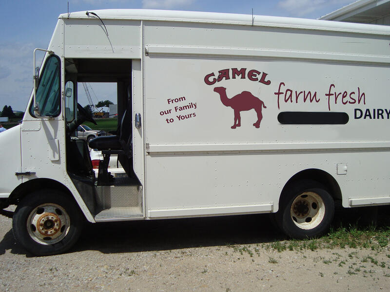 Britain milk float UK camel