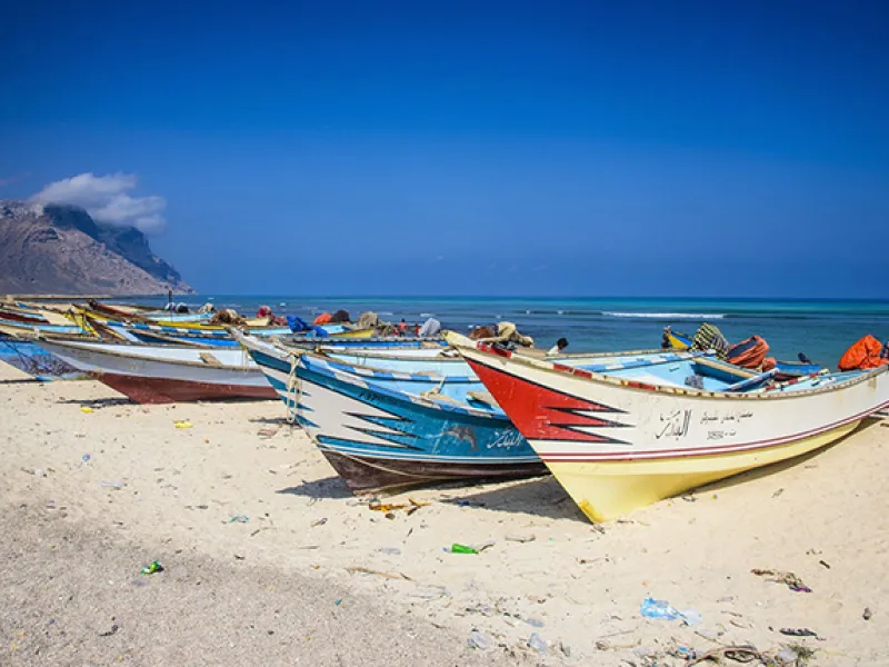 Salmon Fishing in the Yemen