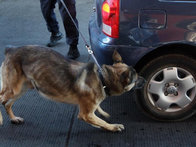 Sniffing the wheel