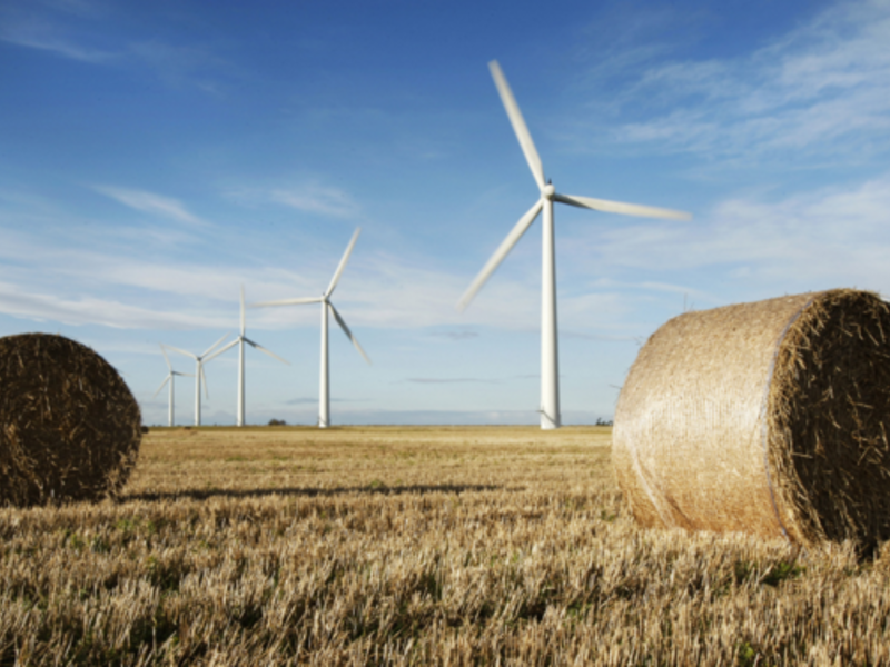 Idaho, in the rural midwest of America, is facing issues with discrimination and harassment of Arab students. (AFP/File)
