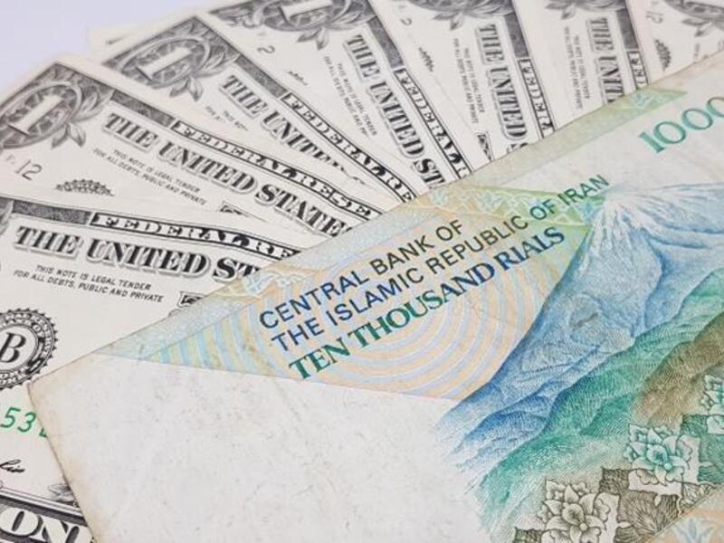 To encourage Iranians to return their hard cash to the economy, the plan allows the central bank to set up dollar savings accounts for ordinary people, state television said. (Shutterstock)