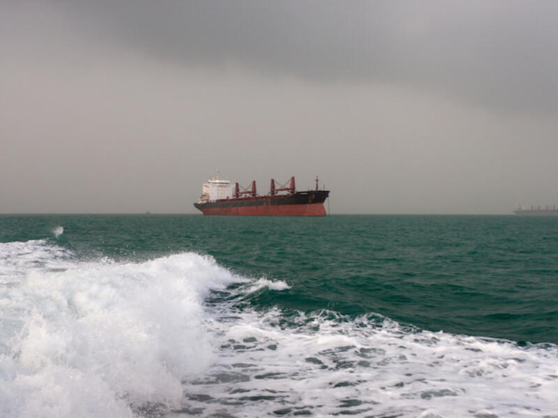 The Iranian fleet is ranked 21st among national fleets, with over 700 vessels operating in the Caspian Sea, Persian Gulf and Gulf of Oman. (Shutterstock)