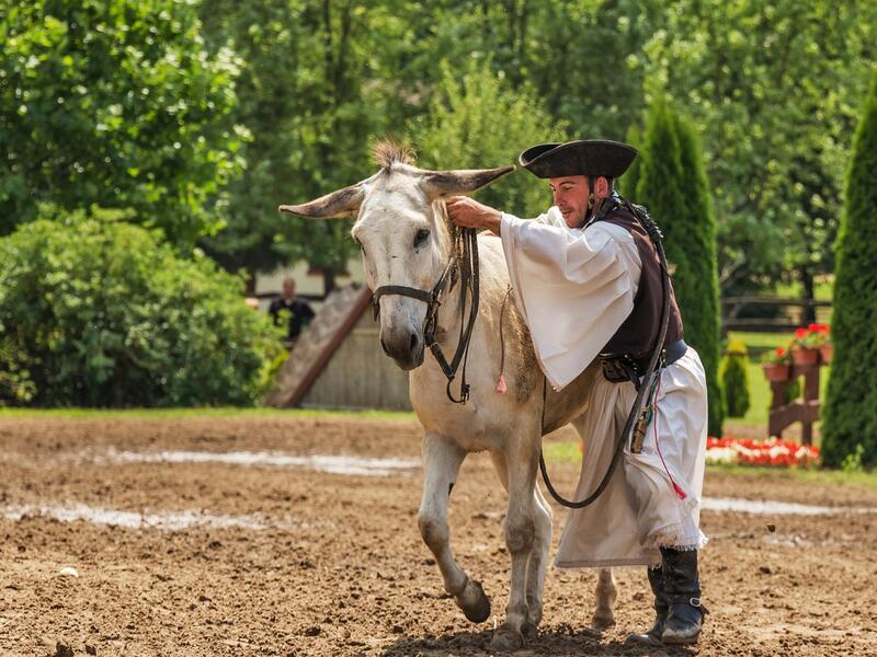Donkey and Man