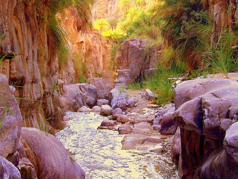 Wadi Bin Hammad in Karak Province. (terhaal.com)