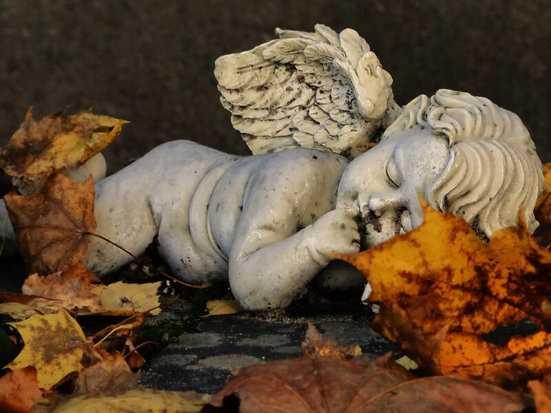 (Shutterstock/ File Photo)