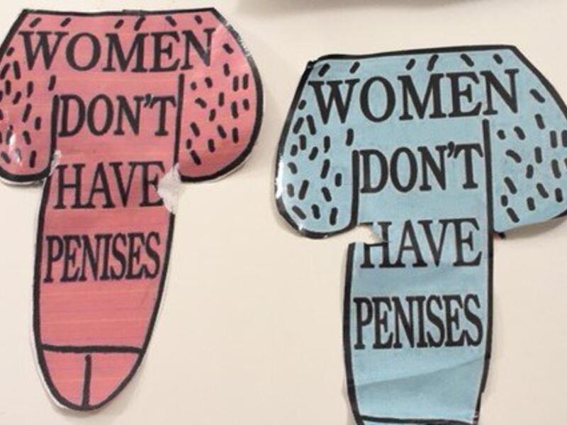 Transphobic abuse (Twitter)