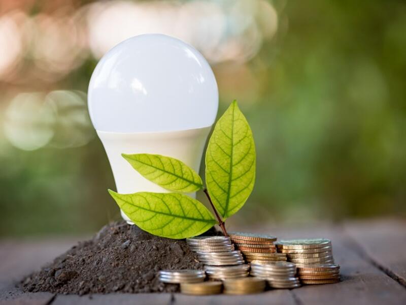 The UAE is working to create a more sustainable and energy-efficient country, but the success of these initiatives depends on household consumption. (Shutterstock)