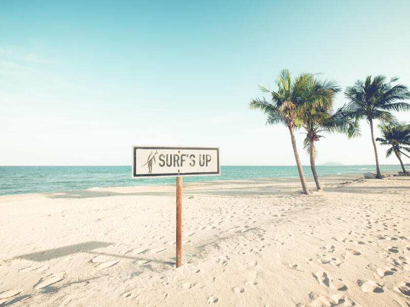 Landscape of coconut palm tree on tropical beach in summer. Beach sign for surfing area. (Shutterstock)