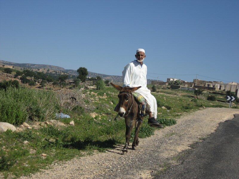 Should one be riding a donkey (or a bicycle - as these are obviously interchangeable) and come across men seated on the side of the road, one should dismount to greet them with ‘Assalam waleykum.’ If you don’t, it’s 3aib. And if you are too weak to dismount, just don’t say anything at all.