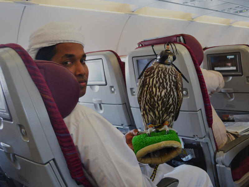 Make sure your wife looks oppressed. Force her to sit in the aisle seat, know her favorites drinks and snacks and order them for her yourself. That’s what oppression looks like.