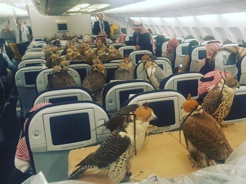 The image went viral on Reddit. (Reddit)