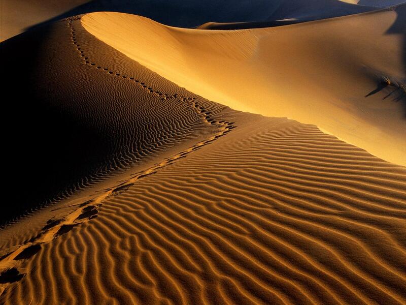 The official urged people who go into the desert to carry enough food and water. (Creative commons)