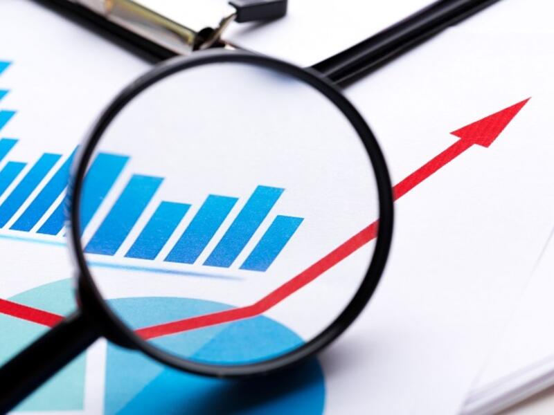 “The plan outlaid an aspirational target of OMR700 million for the value of GOEs transferred to private sector owners between 2017 and 2021." - ISFU annual report (Shutterstock)