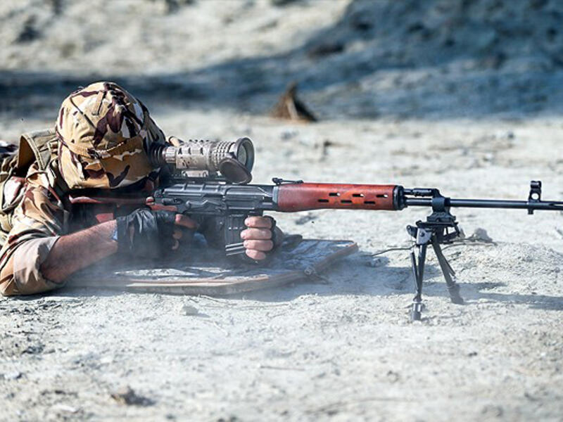 A mutant rat infesting Tehran in 2013 led the government to deploy snipers in the streets to fight the (up to) 5 kg heavy monsters. Having grown so fat that cats were afraid of them and developed a resistance to poison, a well-aimed headshot seemed to be the only form of pest control left.
