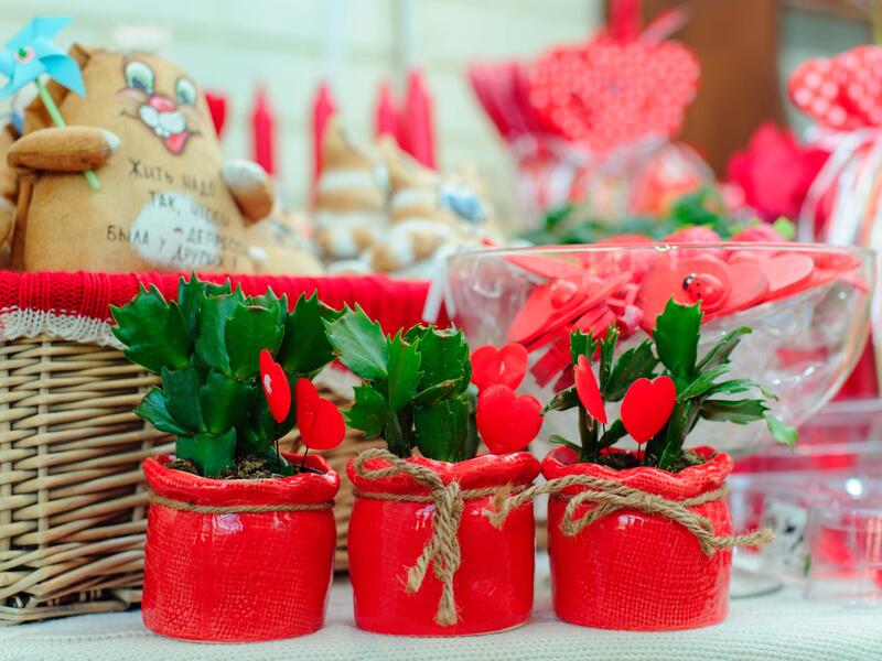 Crossing the red line on February 14 in Saudi Arabia has not been a good idea until recently. Shops were asked to remove anything red for a few days before Valentine’s day to prevent the celebration of what is considered non-Muslim and encouraging “immoral relations”. 2017 was the first year during which red things were permitted again.