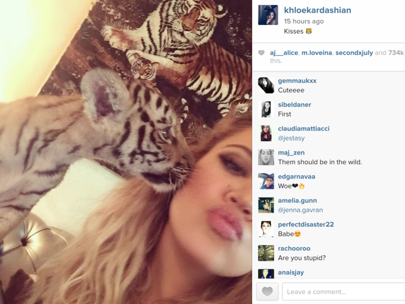 Khloe's selfie with the cute tiger cub in Dubai. (Instagram)