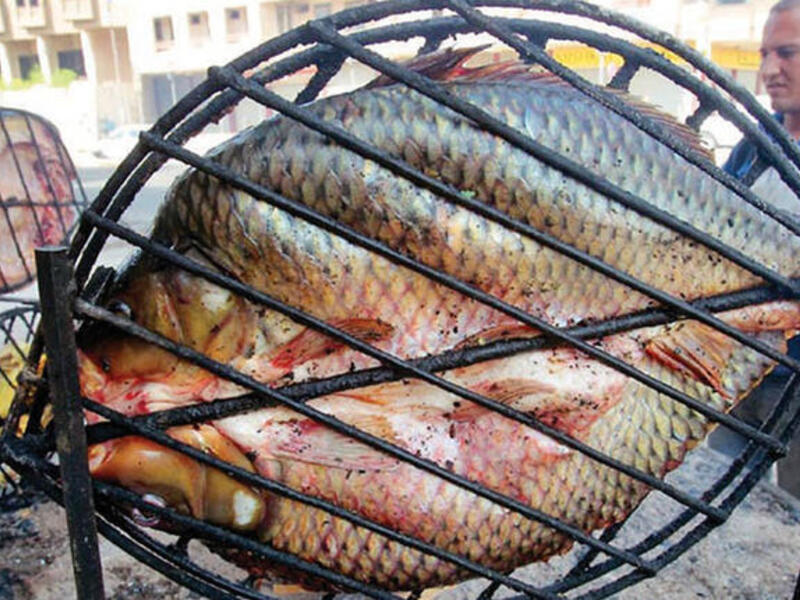 Iraq Masgouf