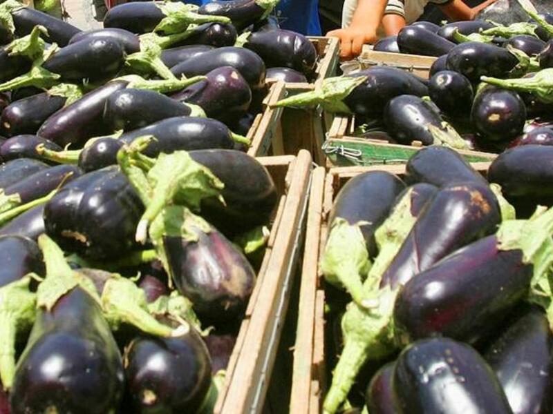 الباذنجان : إحدى الخضروات المفضلة في الوطن العربي وخصوصا منطقة حوض البحر الأبيض المتوسط حملت تصريحا رسميا بتحريمها وهي بذلك تنضم إلى اللائحة السوداء والممنوعة على النساء