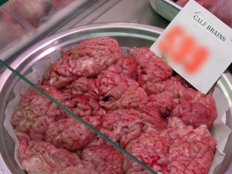 Cow brain smuggling