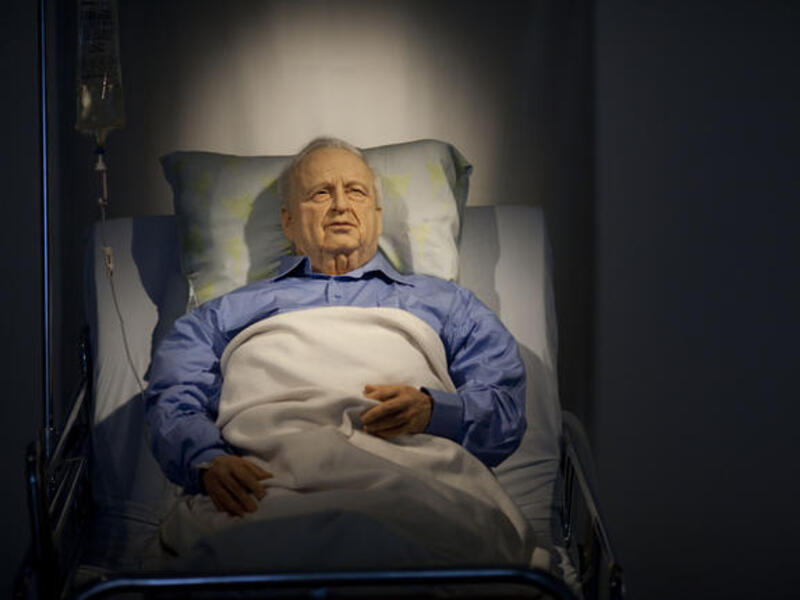 Ariel Sharon has been sleeping for over 5 years. He responds to pokes & opens his eyes reflexively. The 82 year-old, war hero 
to some, war criminal or alternatively Butcher-Bulldozer to others, led & 'defended' Israel 2001-2006, staunchly in the name of 
security, but now finds himself increasingly defenseless against a rapidly changing region.
