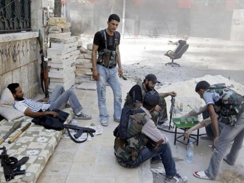 fsa cat birds