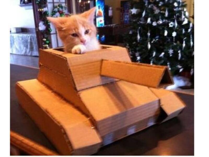 fsa cat tank