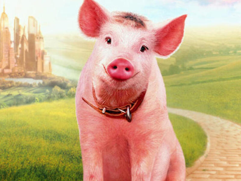 خنزير وردي اللون