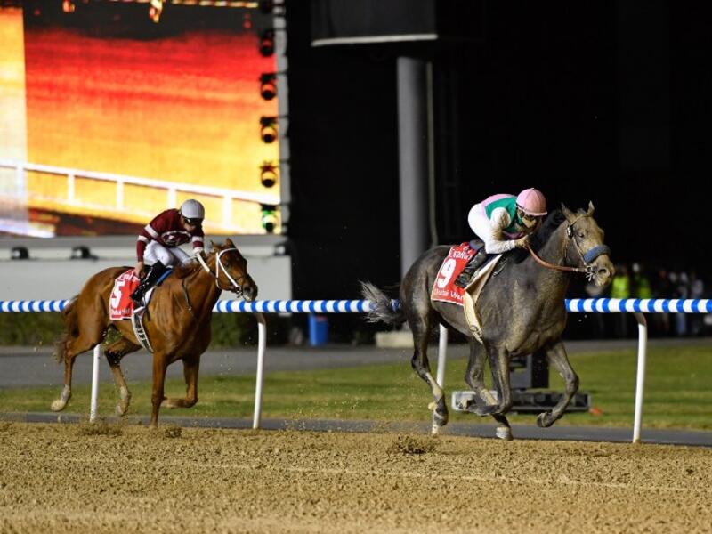 Jockey Mike Smith (R) rides Arrogate to win the Dubai World Cup race in the Meydan Racecourse on March 25, 2017 in Dubai.
Abdulqader AL-ANI / AFP