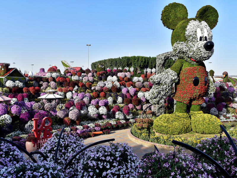 Dubai Miracle Garden recently created a 18-metre floral Mickey Mouse. (Shutterstock/ File Photo)