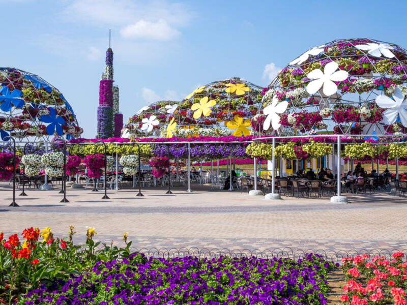 Beautiful Miracle Garden at Dubai, UAE. (Shutterstock/ File Photo)