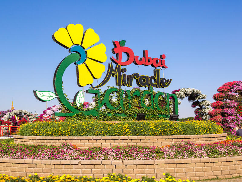 Dubai miracle garden consists of over 109 million flowers that shapes different flower statues. (Shutterstock/ File Photo)