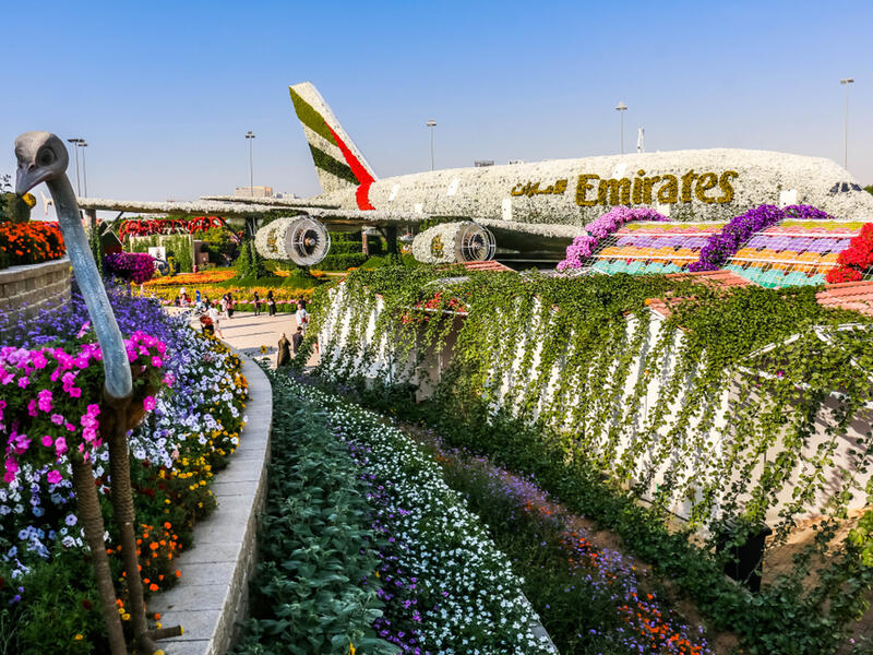 Dubai Miracle Garden, Flower Garden and Flourish Landscape has a sculpture on the shape of the Emirates A380 Plane.(Shutterstock/ File Photo)