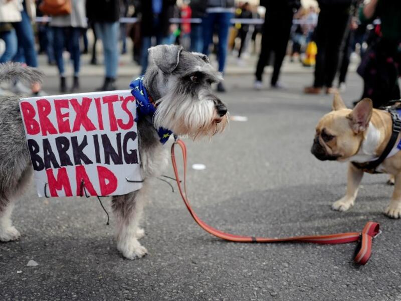 Britain voted narrowly to leave the EU in a divisive 2016 referendum and is set to leave in March next year. (Tolga AKMEN / AFP)