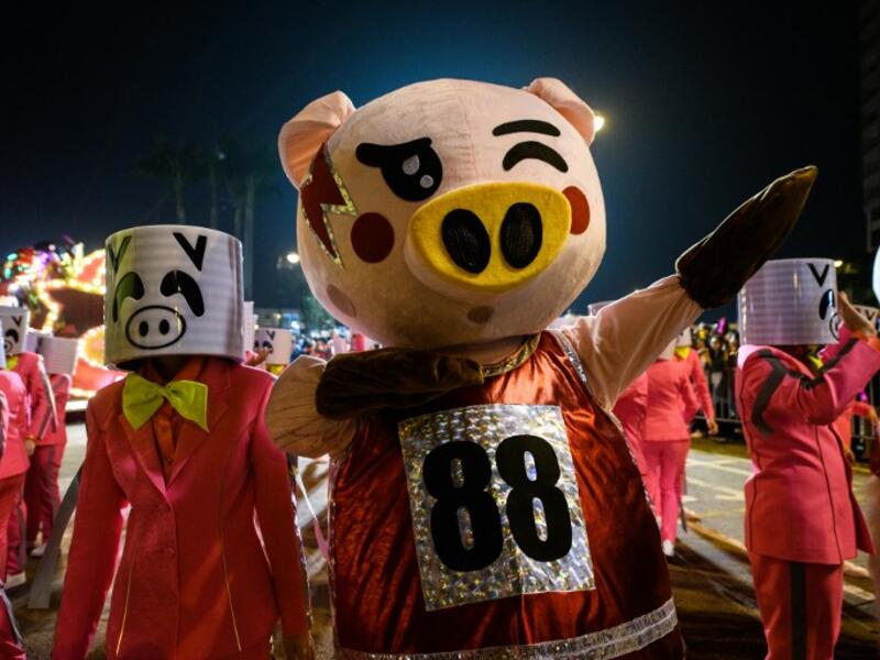 Performers wear pig customers as they take part in the annual Lunar New Year parade in the Kowloon district of Hong Kong on February 5, 2019, to mark the Year of the Pig. 
Anthony WALLACE / AFP